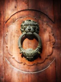 an ornate door knockle with a lion's head on it