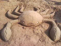 a sand crab made to look like it is sitting in the sand