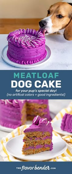 a dog sniffing a piece of cake with the words meatloaf dog cake on it