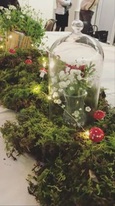 some plants and flowers in a glass vase on a table with people looking at them