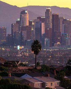 the city skyline is lit up at night with palm trees in front of it and mountains in the background