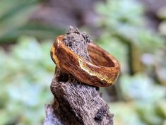 a wooden ring sitting on top of a piece of wood in front of some plants