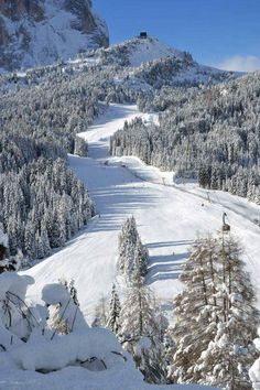 a ski slope with trees covered in snow