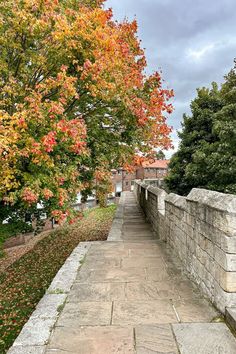 the walkway is lined with stone walls and colorful trees