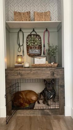 the dog is laying down in the cage under the shelf next to the basket on the wall