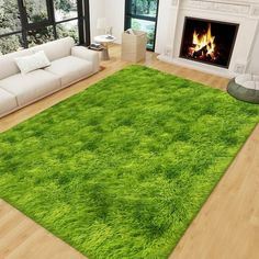 a living room filled with furniture and a green rug on the floor in front of a fire place