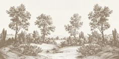 a drawing of trees and water in the middle of a landscape with rocks, grass, and dirt