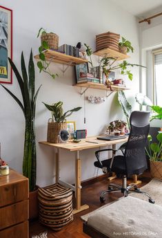 a room with some plants on the wall and a desk in front of a window