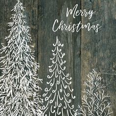 Merry Christmas Trees by Carol Robinson-VARPDX44185 Image 1 Whimsical Christmas Tree Art, Chalkboard Inspiration, Whimsical Christmas Tree, Whimsical Christmas Trees, Chalkboard Ideas, Christmas Tree Art, Window Ideas, Store Windows, Whimsical Christmas