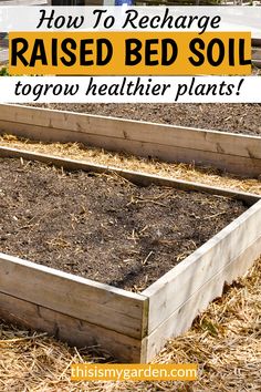 how to recharge raised bed soil in your garden