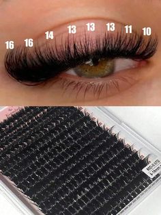 Black  Collar  Chemical Fiber  Cluster Lashes Embellished   Beauty Tools Shein Eyelashes, Cluster Lashes Eyelash Extensions, Wispy Lash Set, Clusters Lashes, Lash Maps, Volume Russe, Lashes Fake Eyelashes, Lashes Tutorial, Eyelash Makeup