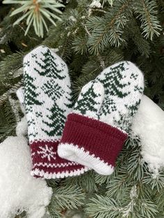 two mittens hanging from a christmas tree with snow on the ground and pine needles