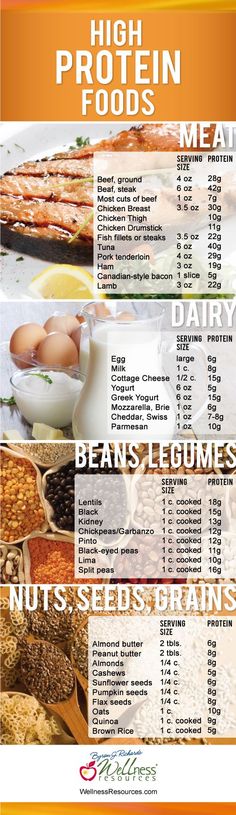 High Protein Foods- Lots of good options besides meat, milk and eggs. :-) High Protein Foods, Muscle Building Foods, Protein Diets, Wellness Blog, Body Fitness, Eat Right