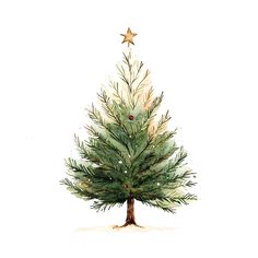 a watercolor painting of a christmas tree with gold stars on it's top