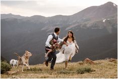 a bride and groom are running with their dogs on the top of a mountain together