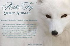 an animal with brown eyes is shown in front of a white background that says arctic fox spirit animal