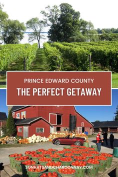 Looking for a unique and exciting weekend getaway? Why not explore Prince Edward County in Ontario? This stunning region has everything you need – fantastic wine country, charming small town towns, and plenty of scenic routes to take along. Plus, the area is home to several notable attractions, including PEC Wineries and PEC getaway! Weekend Escape, Holiday Planning, Wine Tour, Scenic Routes, Travel Board