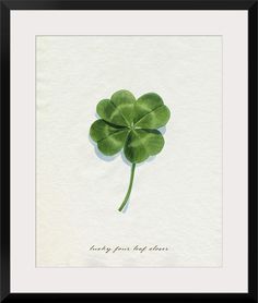 a four leaf clover with the words lucky four leaf clover on it's side