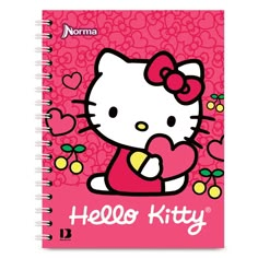 a hello kitty notebook with hearts and flowers on the cover, is shown in pink