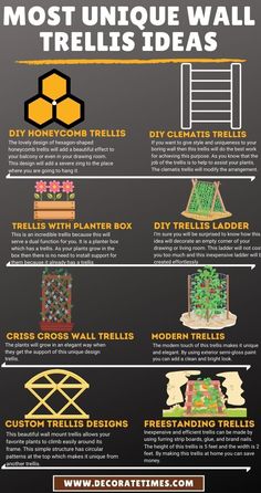 the most unique wall trellis ideas for your home or office - infograph com