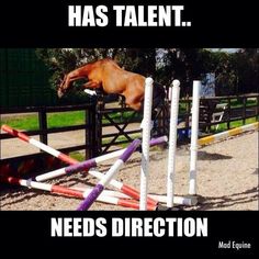 a horse jumping over an obstacle with the caption'has talent needs direction '