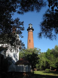 a light house sitting in the middle of a forest