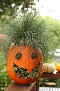 a pumpkin decorated with grass and eyes