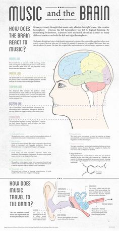 the anatomy of the head and neck, with text describing how to use music and the brain