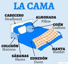 an image of a bed labeled in spanish