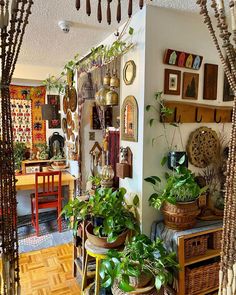 a room filled with lots of potted plants