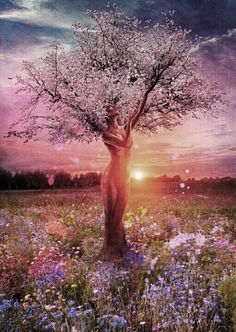 a painting of a tree in the middle of a field with wildflowers at sunset