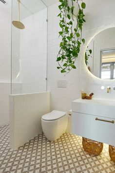 a bathroom with a plant hanging over the toilet