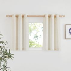 a window with two white curtains and a potted plant