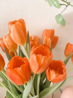 an arrangement of orange tulips in a vase