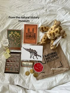 a stuffed animal is laying on a bed with other items from the natural history museum