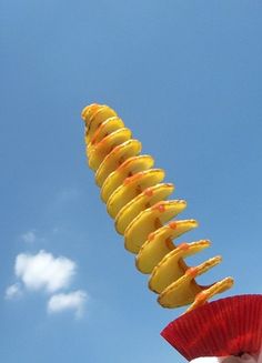 a person holding up a paper plate with food on it in the shape of a spiral