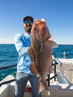 a man on a boat holding a large fish