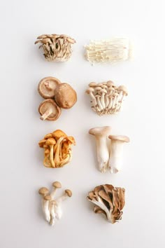 several different types of mushrooms on a white surface