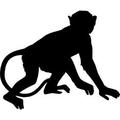 a monkey silhouetted against a white background