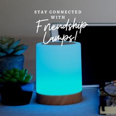 a blue lamp sitting on top of a desk next to a laptop computer and potted plants