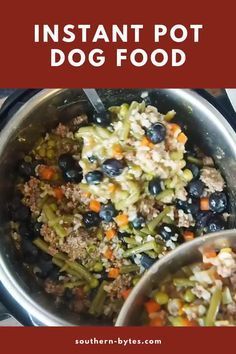 an instant pot dog food recipe with blueberries and green beans is shown in the bottom right corner