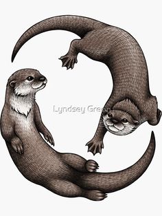 two otters are sitting on the letter c, and one is holding its tail