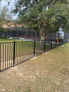 a black metal fence in front of a tree