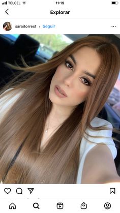 Solid Light Brown Hair Color, Light Chestnut Brown Hair Color, Hairstyles For Events Classy, Caramel Hair Color Honey Golden, Dark Honey Hair Color, Medium Light Brown Hair, Warm Honey Brown Hair, Light Golden Brown Hair Color, Rambut Brunette