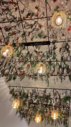 several lights hanging from the ceiling in a room with plants growing on it and other decorations around them