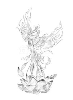 a drawing of a bird sitting on top of a waterlily flower with its wings spread