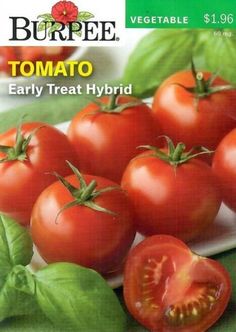 a packet of tomatoes on a plate with leaves