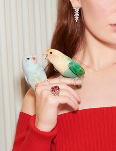 Something to squawk about. Shop flights of fancy. #TiffanyPets #ThisIsTiffany #TiffanyAndCo #TiffanyDiamondEarrings Unique Ruby Rings, Photoshoot Video, Tiffany Diamond, Expensive Jewelry Luxury, High Jewellery