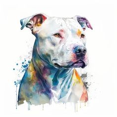 a white dog with brown spots on it's face is shown in this watercolor painting