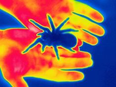 an image of a person holding a spider in their hand with heat from the camera